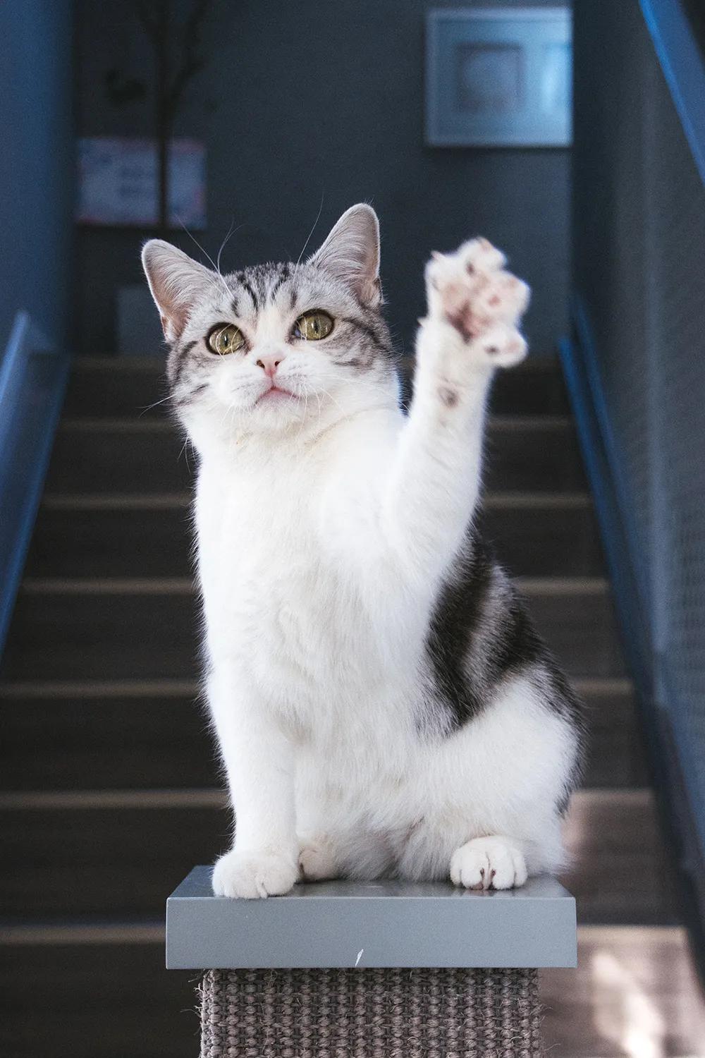 后期投入少的微单推荐,现在入手微单合适