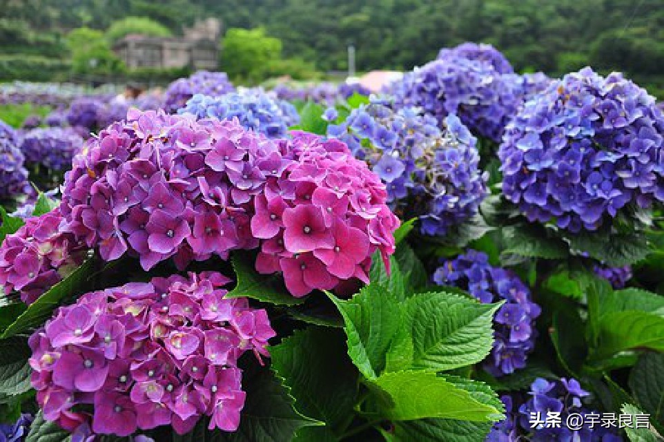 走心说说心情短语,年度热门说说句子简短霸气