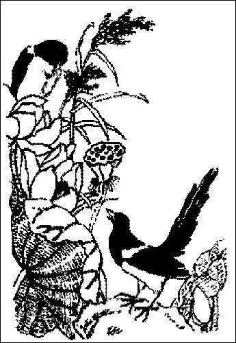 中国传统吉祥图案全集寓意深远,十大民间传统吉祥寓意图案