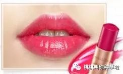 dp口红推荐,平价小众细闪口红