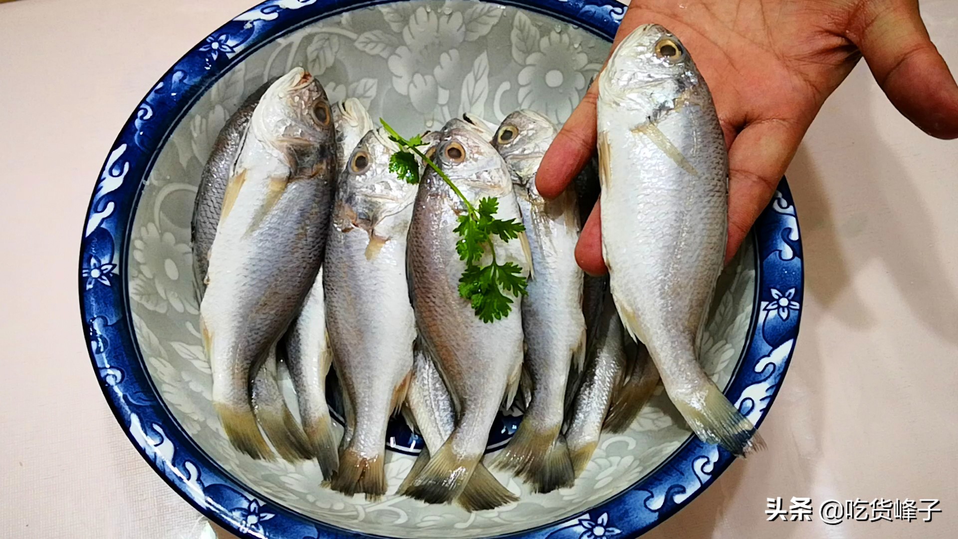 春节前卖什么鱼最好养殖,人工养殖鱼哪种最安全