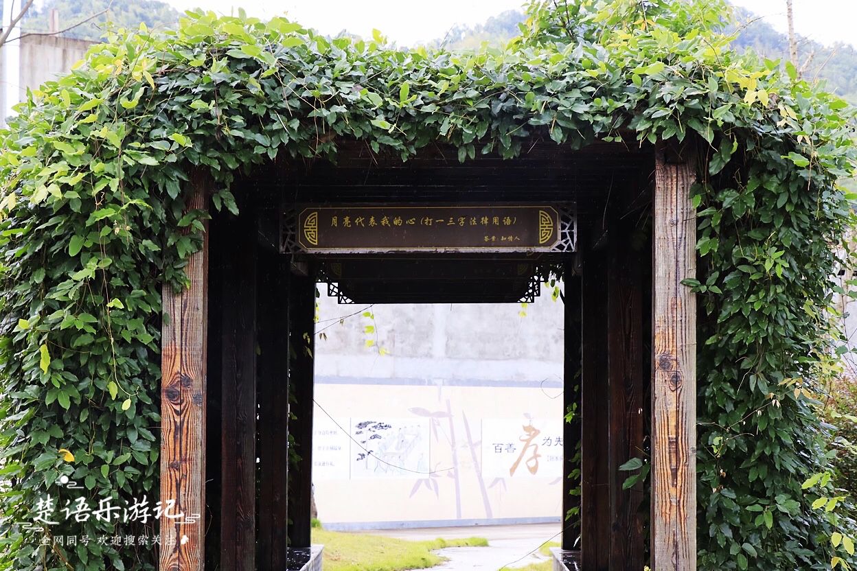 浙江宁波古村图片,浙江宁波有一个古村依山傍水