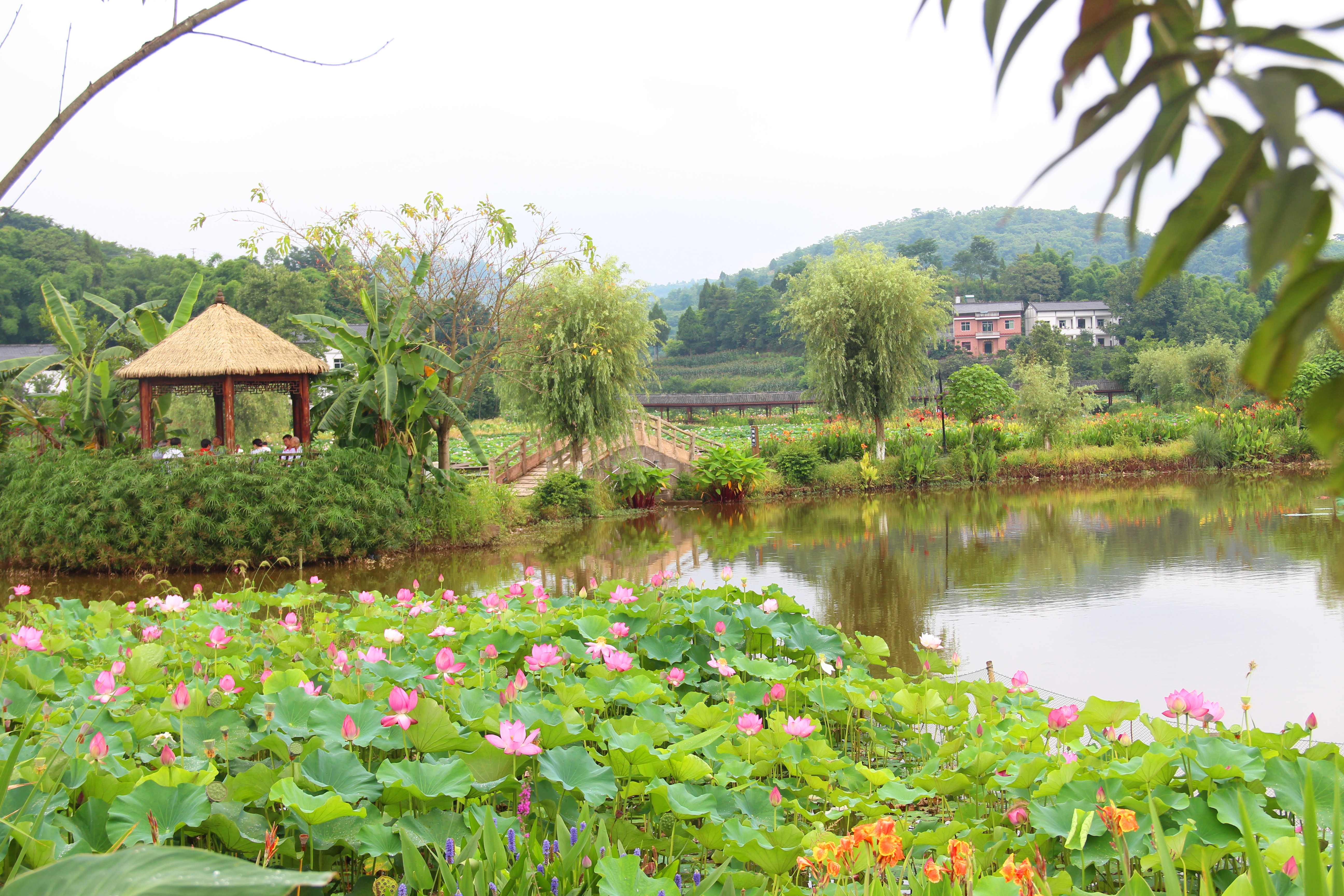 铜梁土桥镇：原乡藕寓五一迎客西郊绿道产业链延长