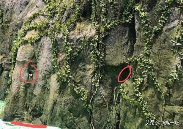 皓衣行被站姐埋伏,皓衣行路透爬楼梯