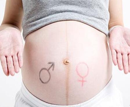 胎儿发育每个阶段注意事项一览表,胎儿发育及孕妈注意事项