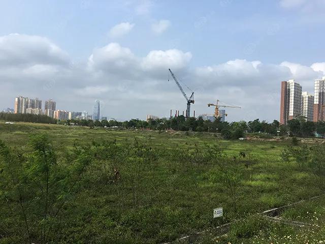 猛虎pk,猛虎vs路虎老虎