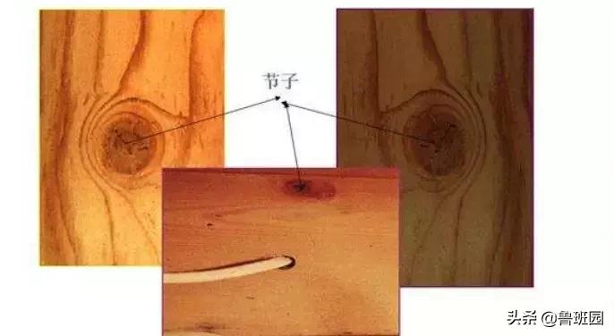 木材的主要缺陷,木材缺陷有哪些