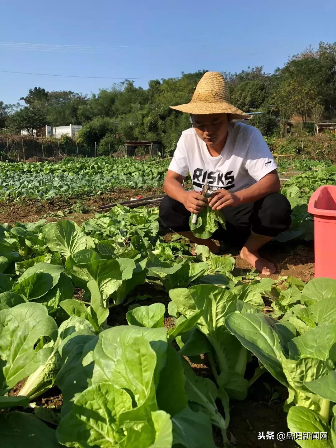 闯出“青春+网络”的创业路