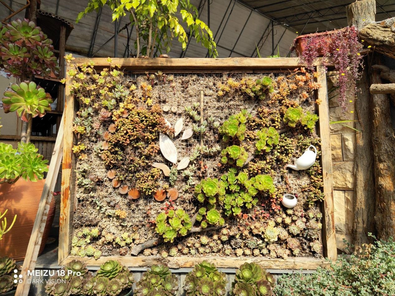 魅族18和魅族18pro买哪个好,魅族18s18pro与18x区别