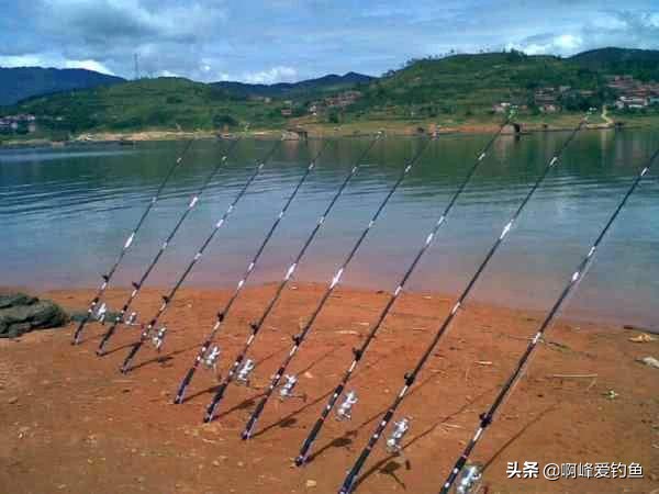 野钓用海竿钓巨物技巧,海竿中鱼率最高的野钓方法