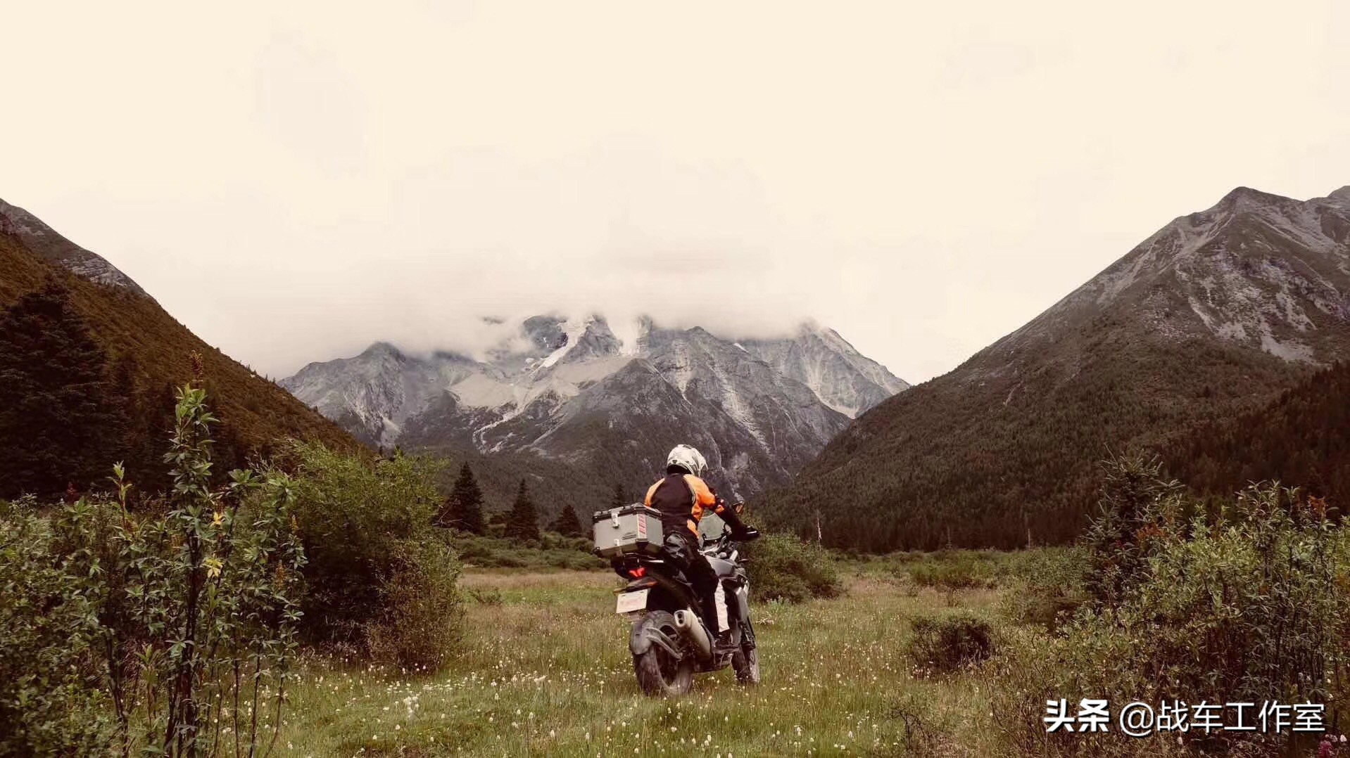 凯越车主论坛,凯越车主最新评价