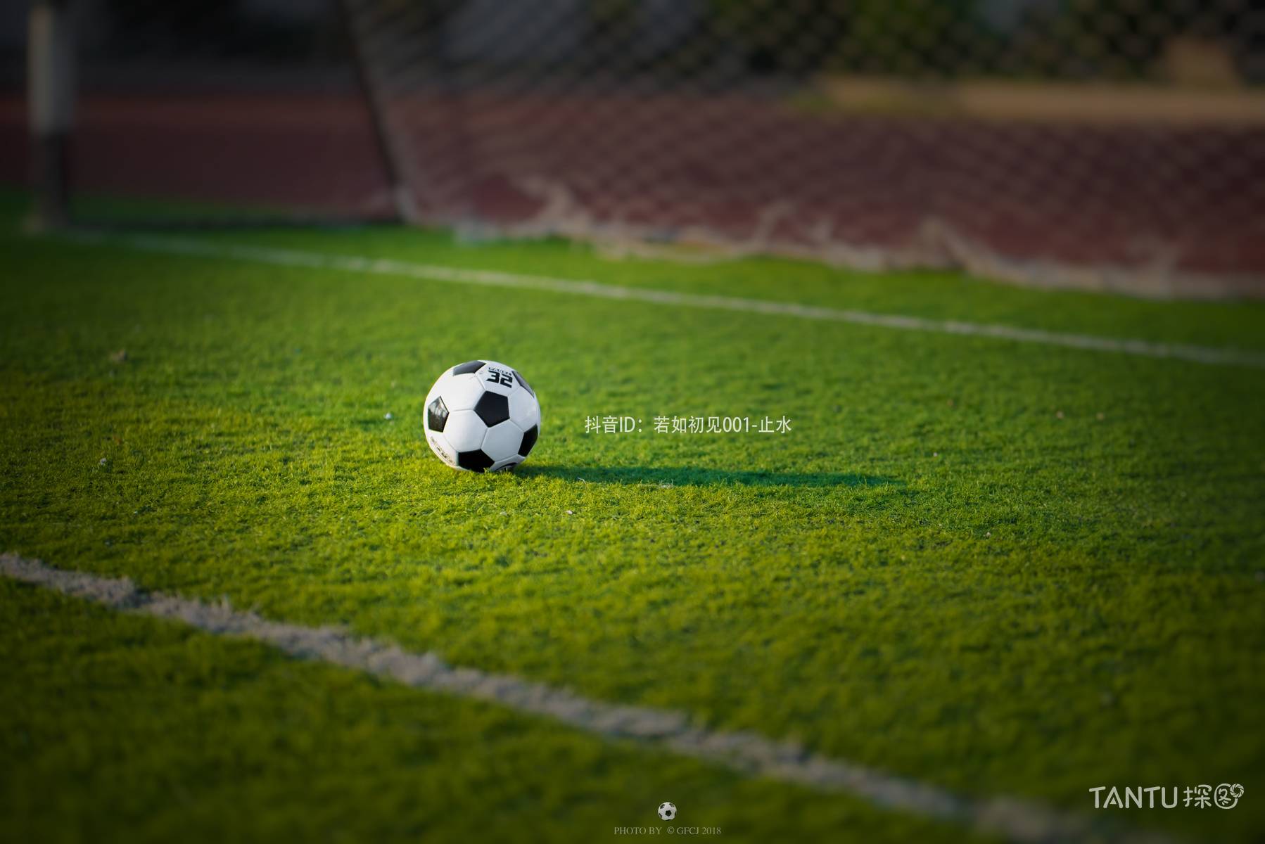 爱女日记-《糖糖的世界杯》