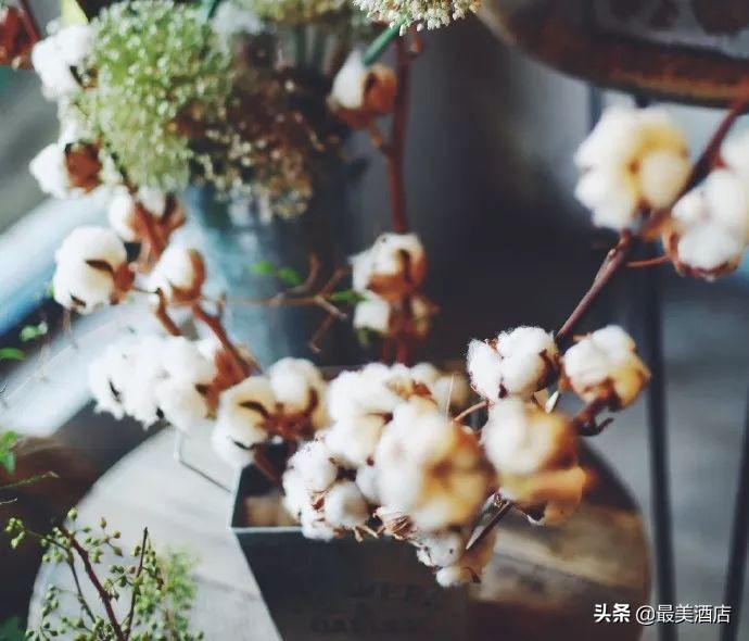 她放弃了总监职位后续,她辞去总监回家扶贫全集