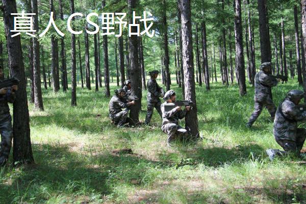 农村增收致富的好项目有哪些呢,农民脱贫致富的方法有哪些