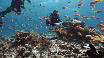 八年级气体压强讲解,液体压强的大小乐乐课堂