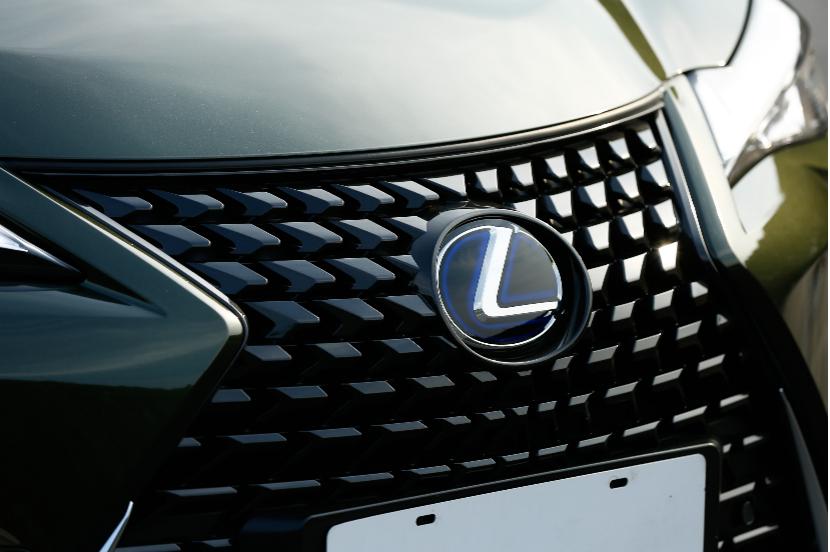 晓敏试驾丰田,晓敏试车