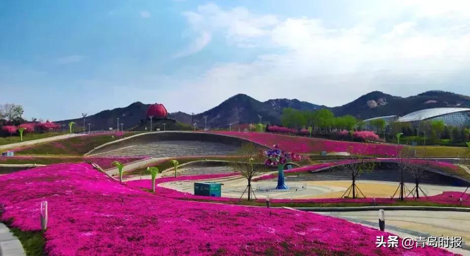 山东问政世博园问题,青岛世博园最失败投资