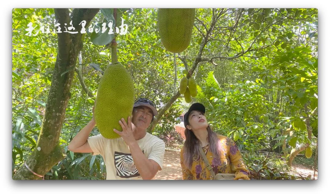 自称“18岁”日本大叔为冲浪定居海南11年：我是海南人了