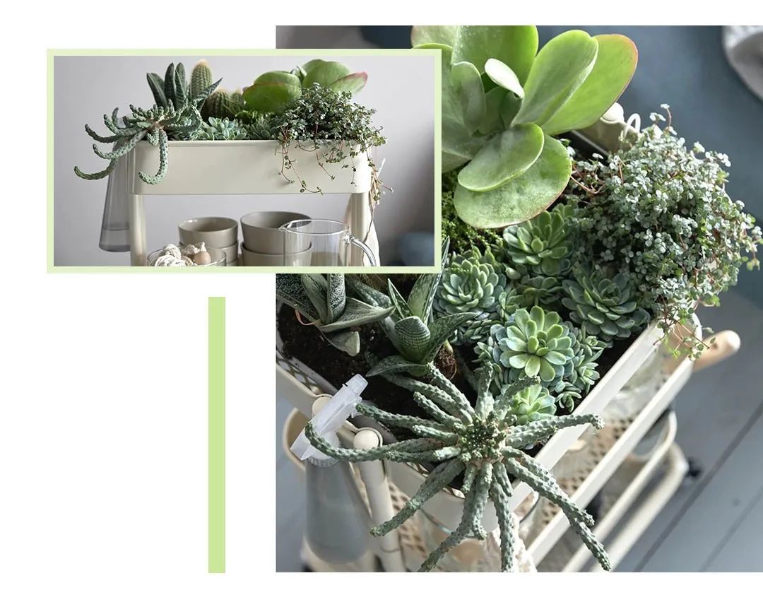 家具控看过来！宜家这15样单品必BUY