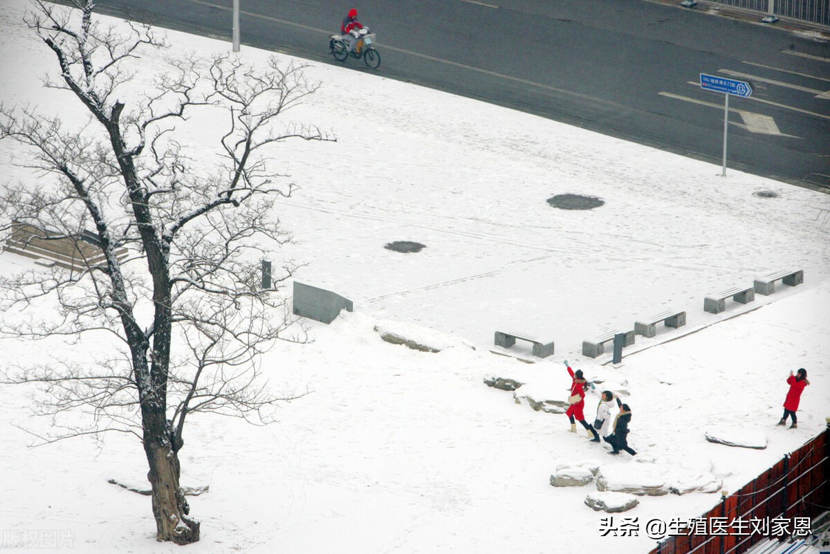 促排期高烧对卵子影响大,促排期间可以吃999感冒灵颗粒吗