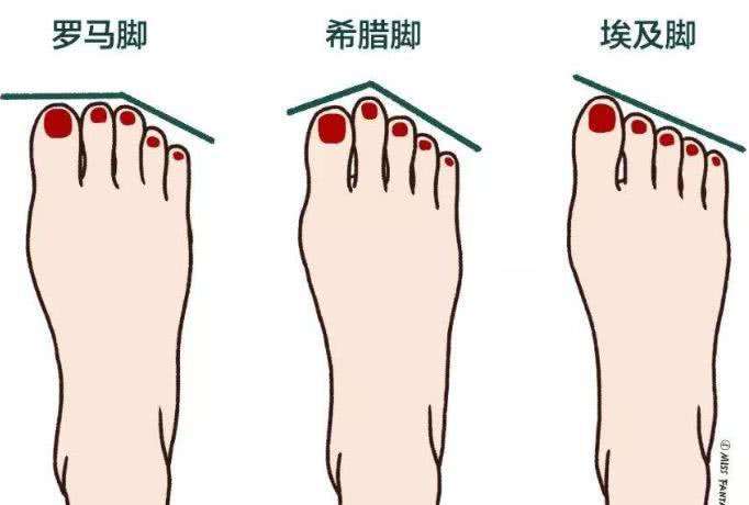 每双鞋的独特特点,每双鞋都是不一样的风格