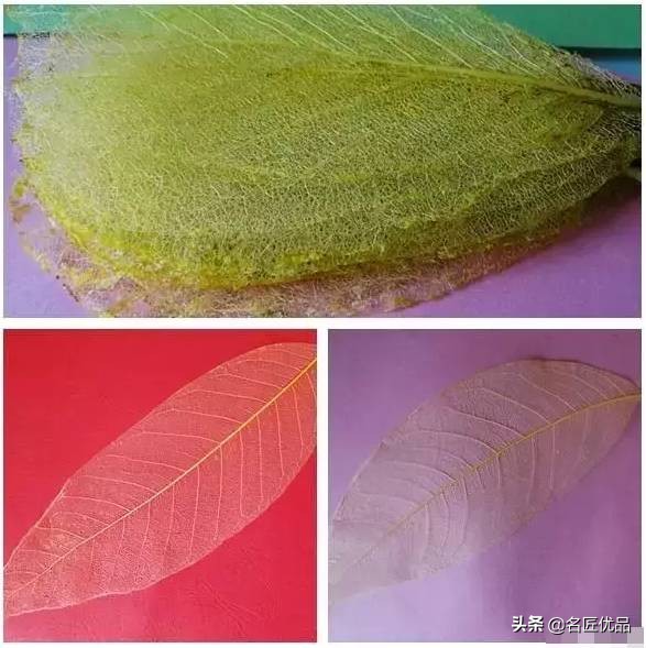 可爱又简单帅气的树叶手工,树叶创意手工高难度