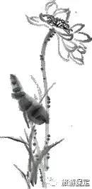 漕河保定全驴宴,缘味保定全驴宴