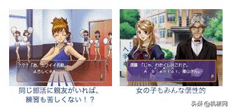 女性向游戏一般会完结吗,女性向游戏合集