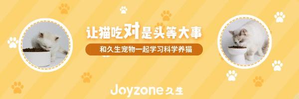 养猫咪常见疾病,养猫知识猫咪耳螨严重怎么办