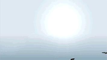 易境庭院,易境自然景观