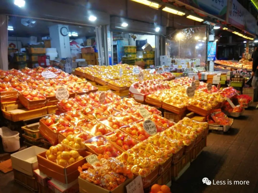 济州岛夜市推荐,韩国济州岛橘园咖啡馆在哪里