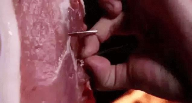 软泥玩具中毒怎么解决,最危险的十款玩具被误食