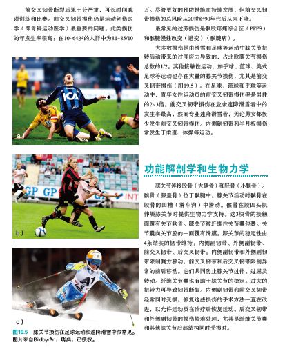 运动损伤的预防及处理小学生,运动损伤的预防与康复300字