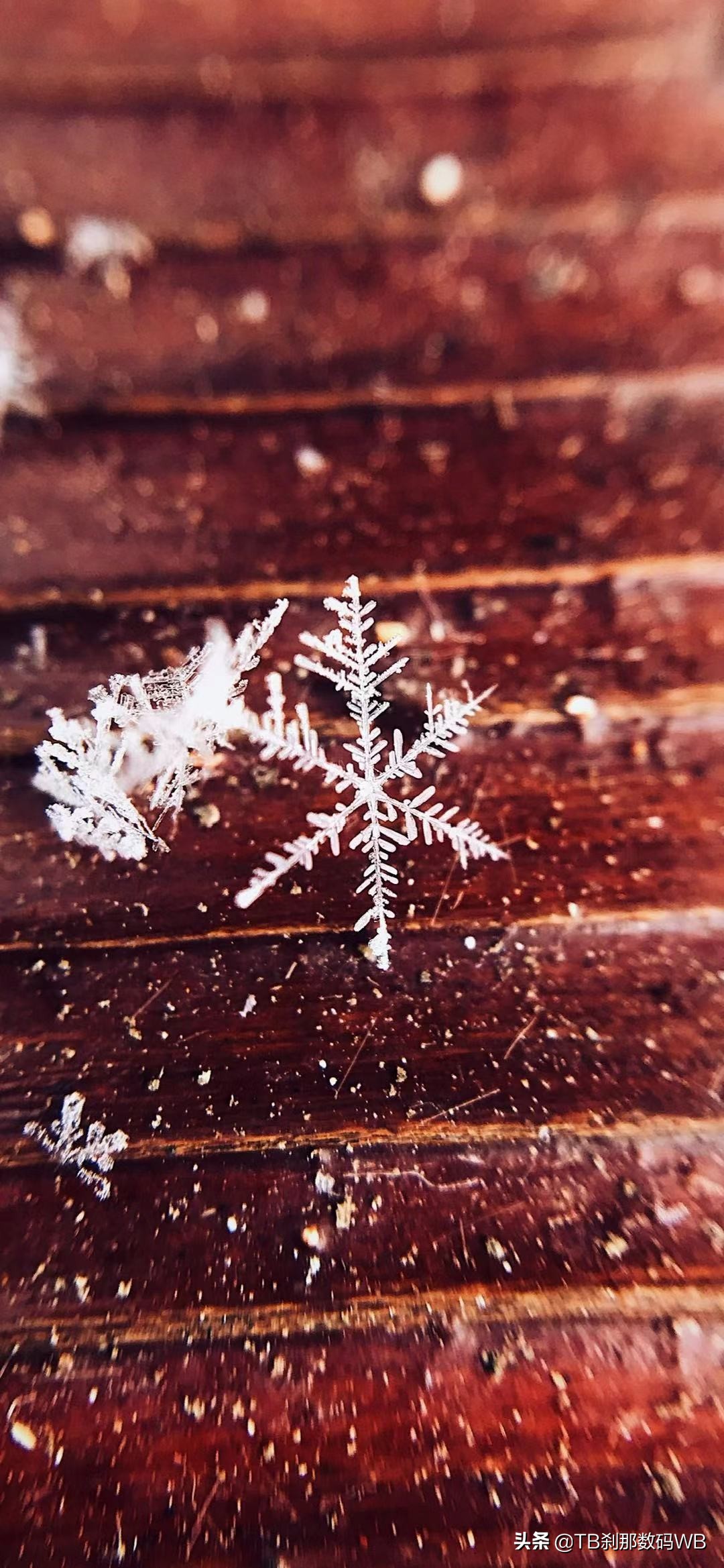 女神比比东精美壁纸,江南水乡精美壁纸图