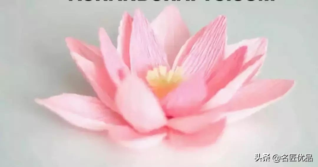 手工制作荷花睡莲,夏天的荷花手工小朋友