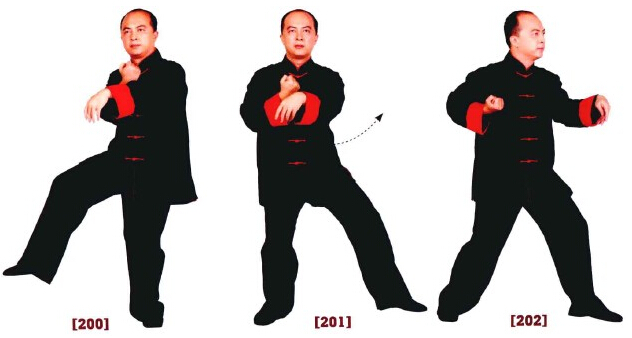 咏春拳入门十二散手,咏春拳标指教学视频