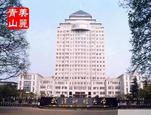 许家印武科大再捐一个亿,许家印尖峰时刻