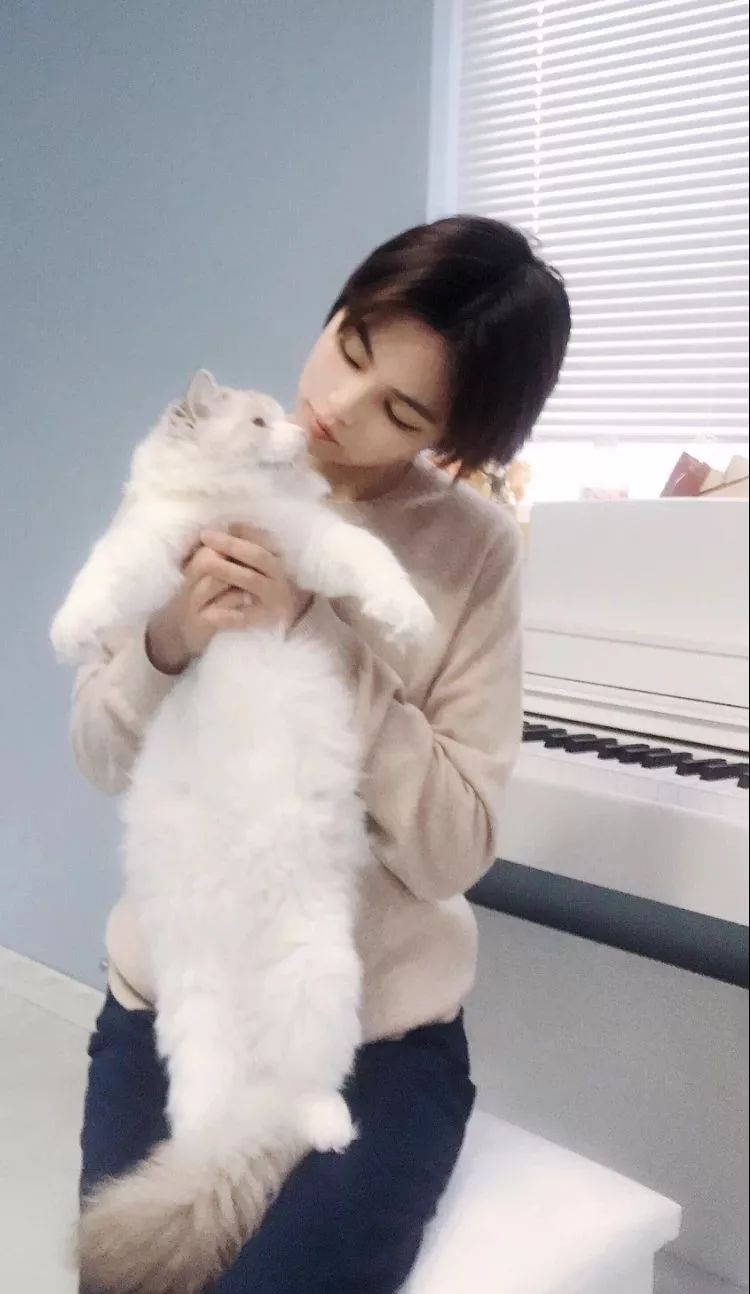 300万杯子引发霸凌,霸凌案后续