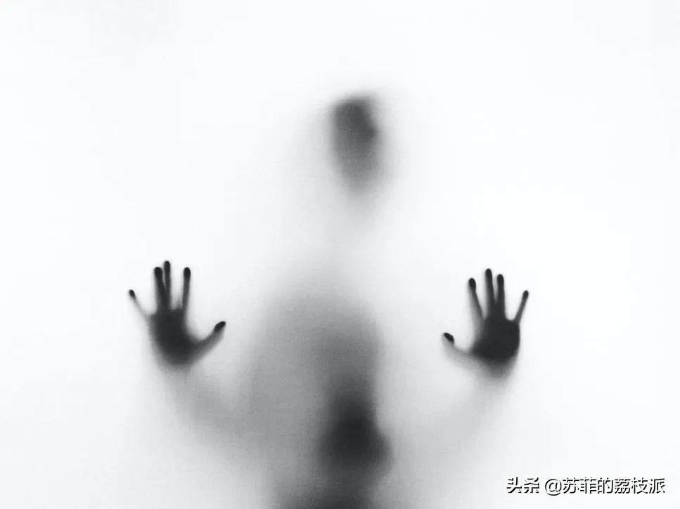 野草莓，血冰块，和巴西海滩：三个关于高管的教练思考