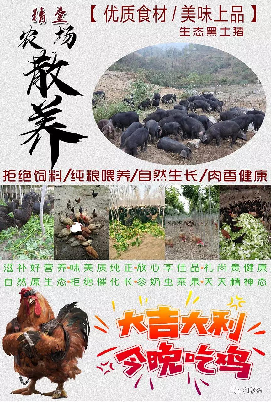 月子的人吃公鸡好还是母鸡好,产后第一天吃公鸡有什么好处