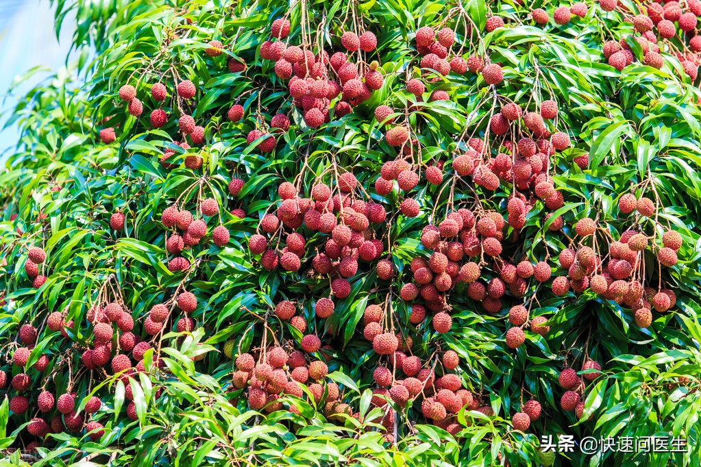 四种水果要少吃,吃什么水果可以祛体内湿气寒气