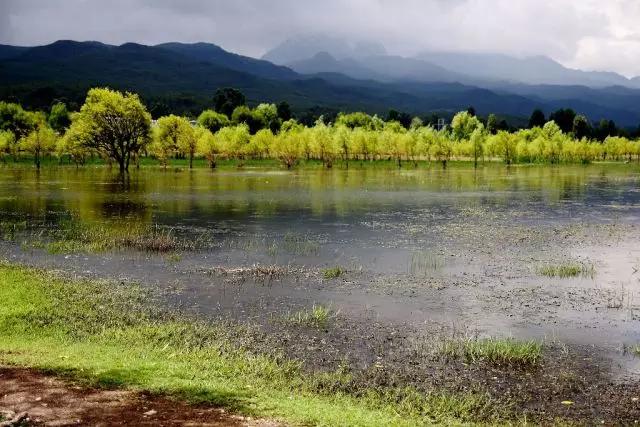 云南最美公路沿途景点,云南最美的十大高速公路