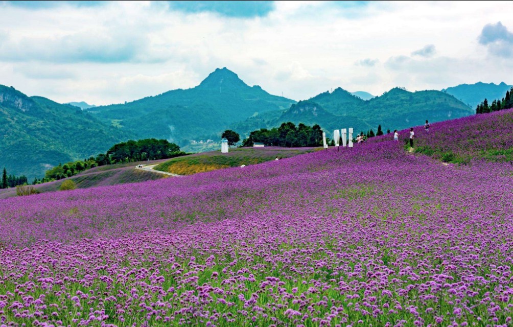 我离婚了心好烦怎么办,我离婚了心里好难受怎么办