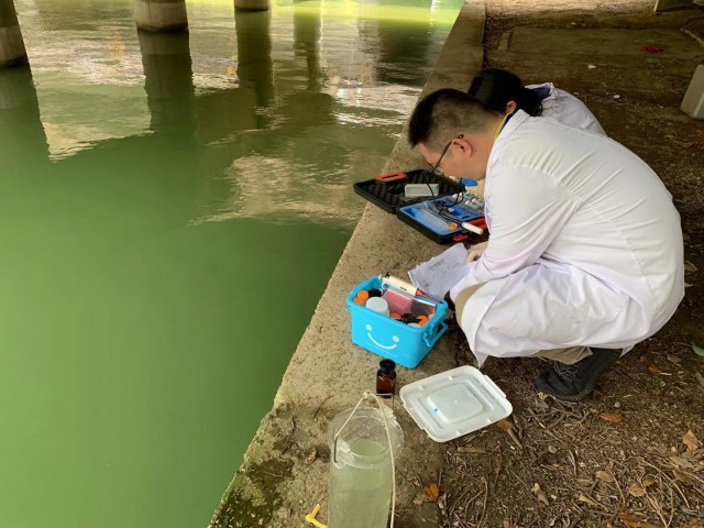 什么鱼本领大,什么鱼特别有灵性