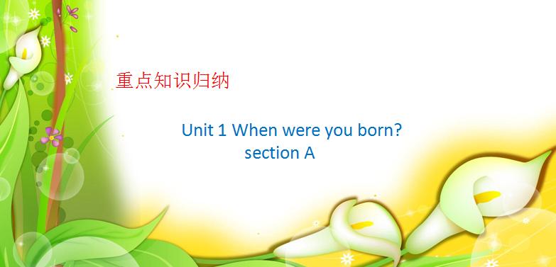 鲁教版八年级下unit1,sectionA知识点归纳