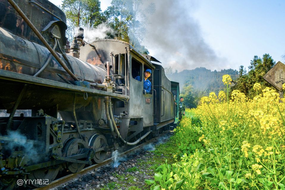 戴口罩的冬天太漫长，差点忘了中国的春天有多美