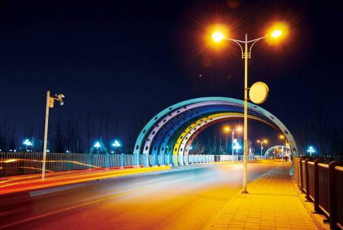 山东省聊城高校最新排名,山东十六市大学排名