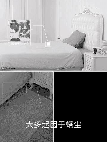 床单睡久了容易螨虫成窝？教你一新招，比太阳暴晒效果好