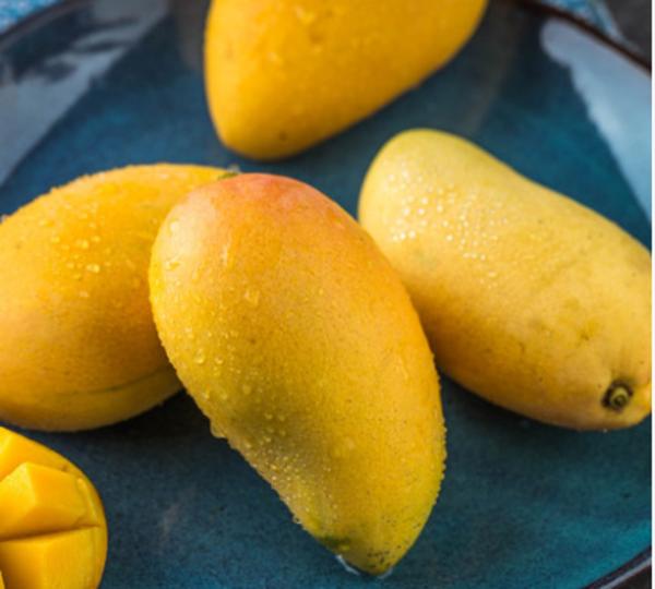 大学宿舍必备的零食,盘点舍友开学带的地方特产