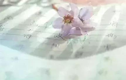 刁问妙答（绝妙！）